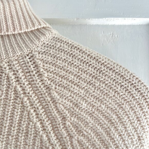 Aritzia Merino Wool Knit Turtleneck - Picture 9 of 10